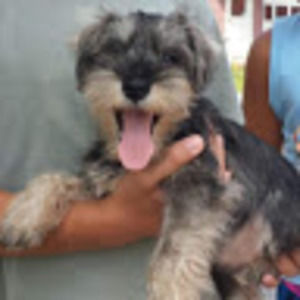 Meet your Posher, Gabrielle